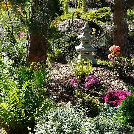 L'aubepine Tatil Evi *